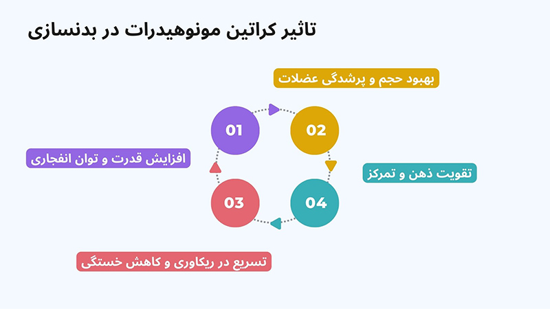 تاثیر کراتین مونوهیدرات در بدنسازی