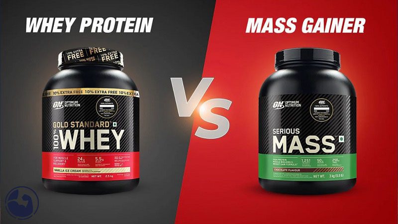 پروتئین وی بهتر است یا گینر