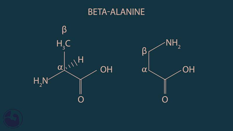 پری‌ورک اوت چیست