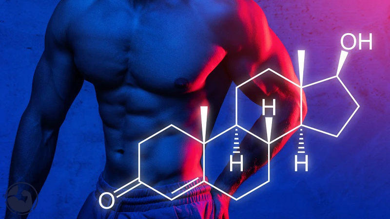 افزایش تستوسترون با مکمل