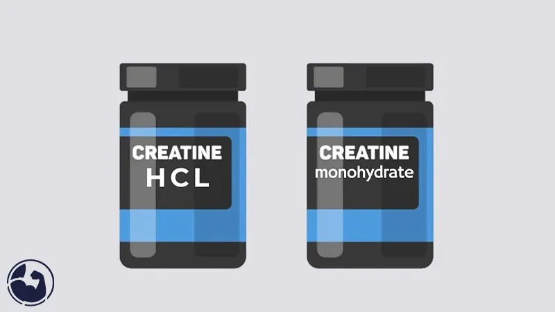 مقایسه کراتین مونوهیدرات و HCL
